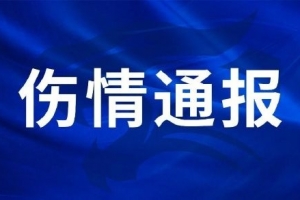 巴西直播_世界杯巴西录像_巴西直播视频在线观看