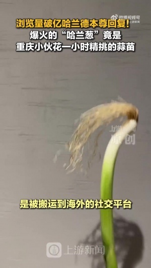 比赛直播免费观看_比赛直播免费观看在线观看